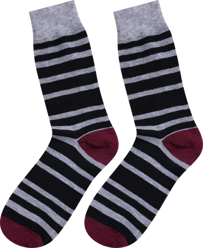 

Носки мужские OEMEN р. 40–46, микс, Арт. K2100