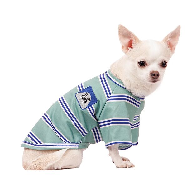 Футболка для собак XS зеленый (унисекс)