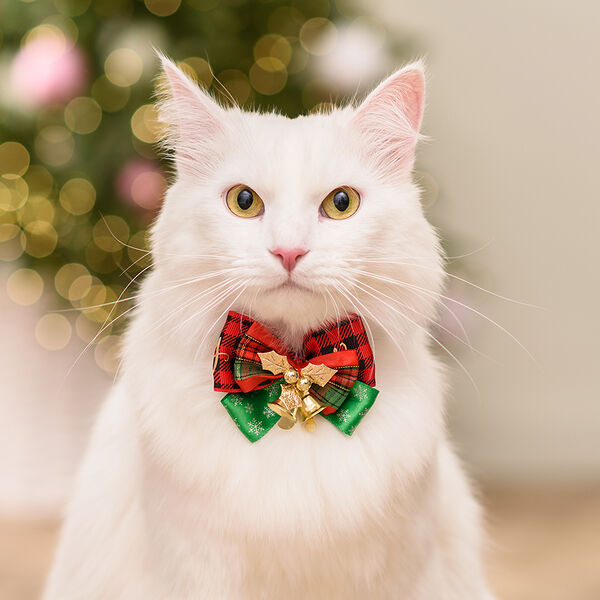 Галстук-бант для собак и кошек Merry Christmas, 7,5х5,5 см, красно-зеленый