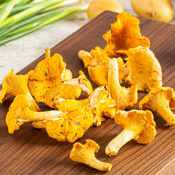 Грибы лисички