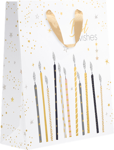 

Пакет подарочный Party 25.5х31.5х11 см, люкс в ассортименте 1 шт.