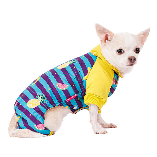 Комбинезон для собак в полоску с фруктами Petmax M голубой (унисекс)