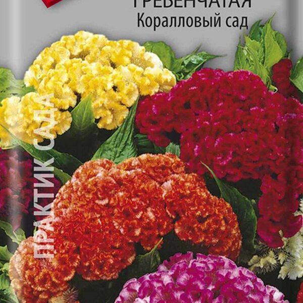 Семена ПОИСК Целозия гребенчатая Коралловый сад ЦВ 0,1Г