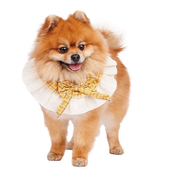 Воротничок Pure Sun для кошек и собак желтый 22-36см