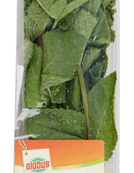 Мята перечная Глобус