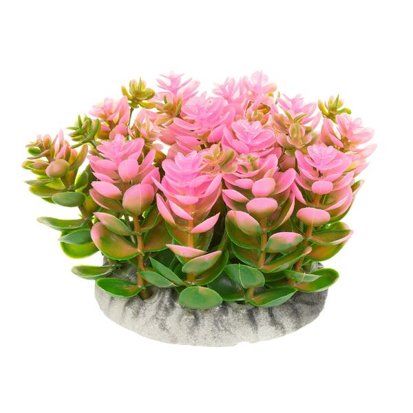 Растение розовое 8082J 10x10x8cm