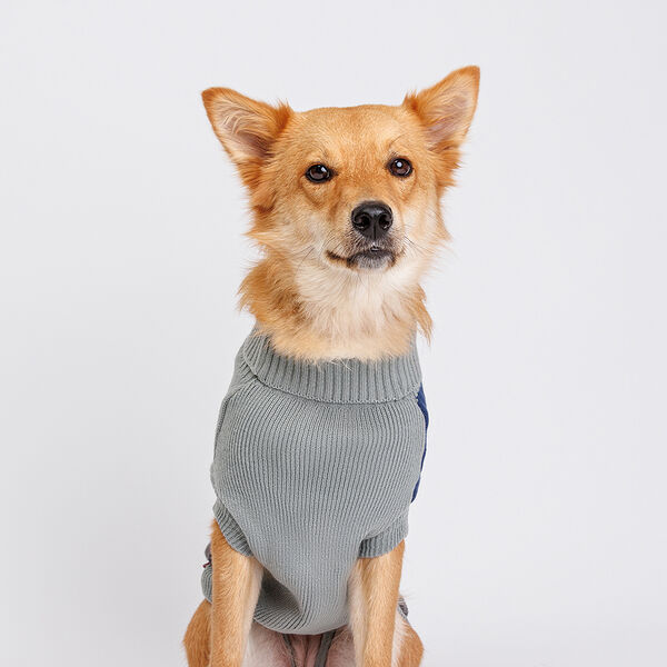 Свитер для собак, 50 см, серо-синий