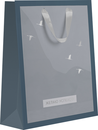 Пакет подарочный Birds белый крафт премиум, 31х41х10см, Арт. XLTW