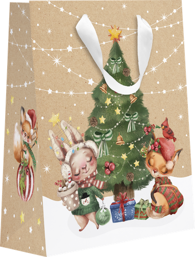 

Пакет подарочный Magic, крафт, 23х18х10см Арт. KM, в ассортименте