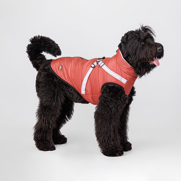 Попона теплая со шлейкой для собак, 4XL, красная