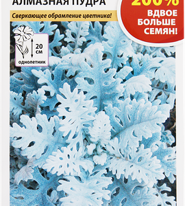 Семена Русский огород 200% Цинерария Алмазная пудра