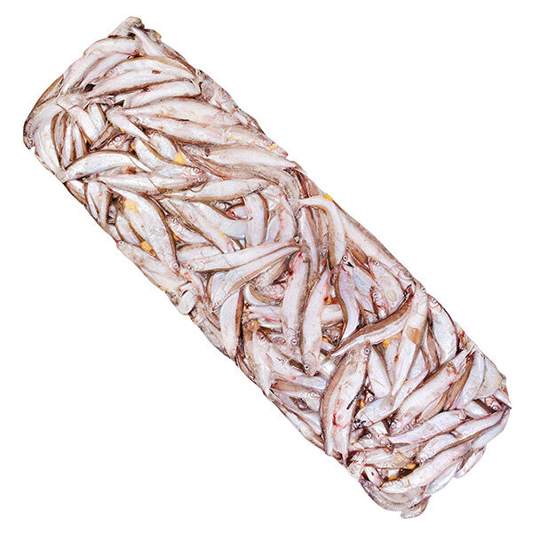 Мойва свежемороженая ОПТ