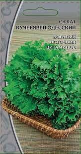 Салат Кучерявец Одесский (ЦВ) 1гр.