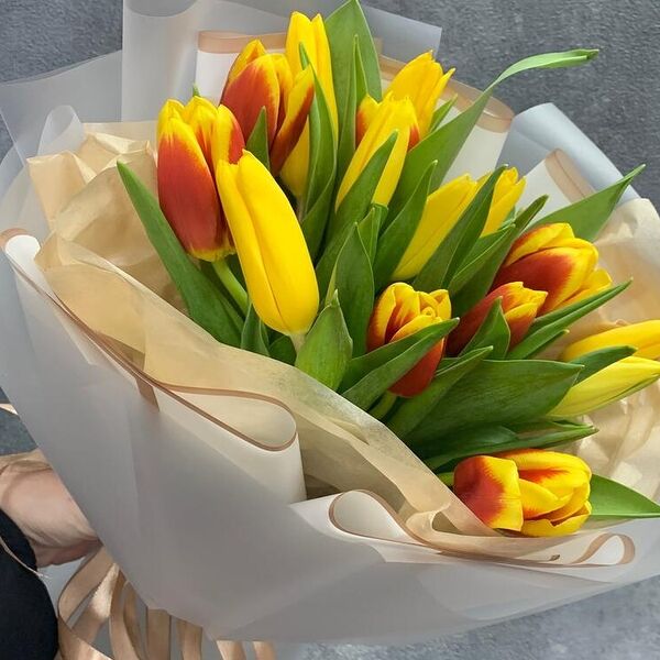 Микс тюльпанов 15шт