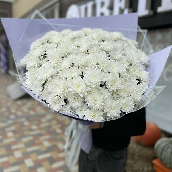 Белые кустовые хризантемы х31