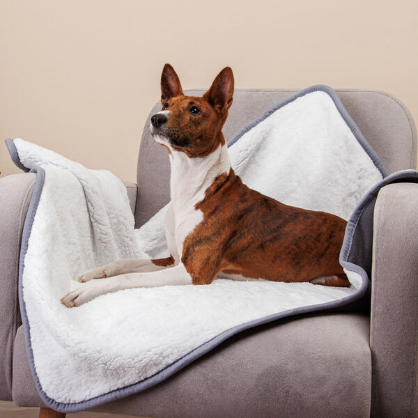 Плед двусторонний для собак и кошек, 80х100 см, серый