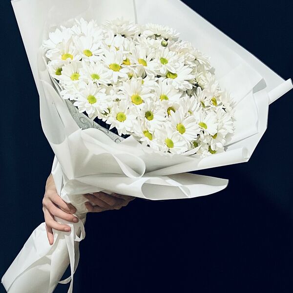 Белоснежная хризантема