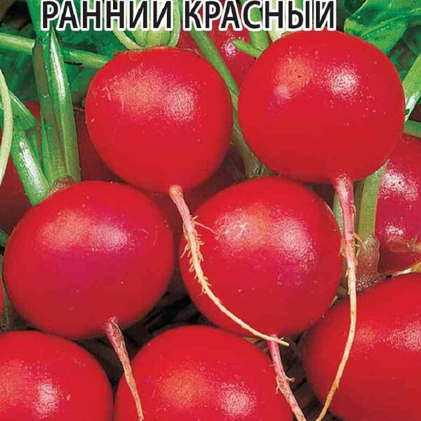 Редис Ранний красный Удачные семена