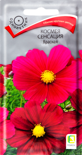 

Семена цветов Поиск Космея Сенсация красная 0.3 г