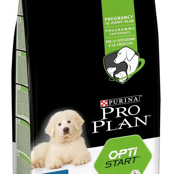 Pro Plan Large Puppy Robust для щенков крупных пород мощного телосложения Курица