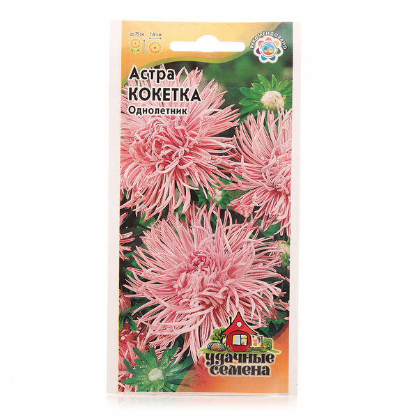 Астра кокетка ТМ Удачные семена