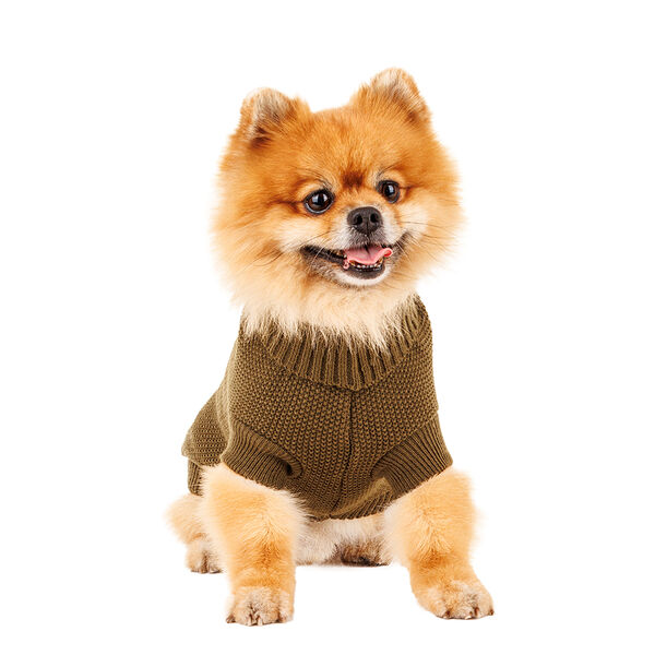 Свитер для собак 35см L зеленый (унисекс)