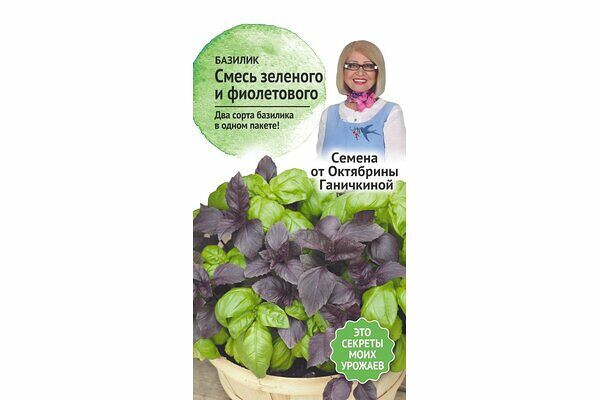 Базилик смесь зеленого и фиолетового Семена от Октябрины Ганичкиной