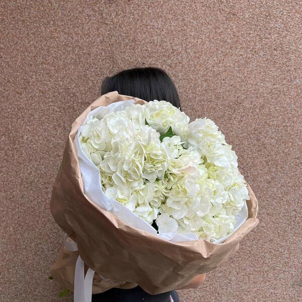 Гортензии белоснежные