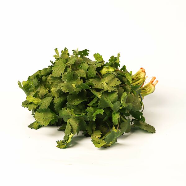 Кинза 1 пучок