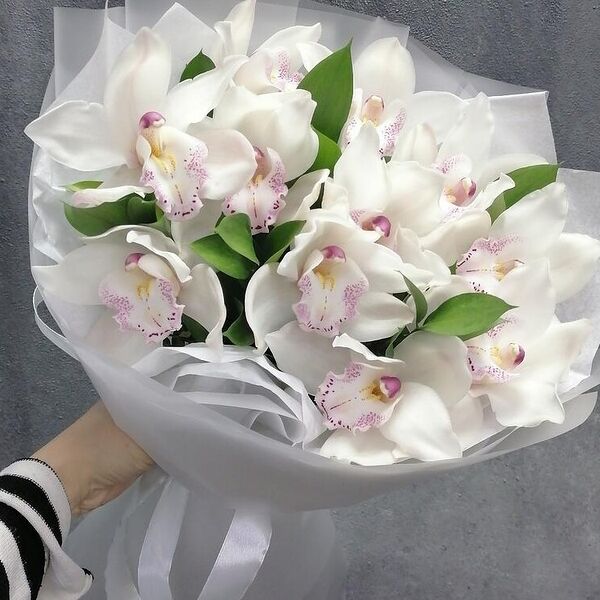 Орхидея с рускусом