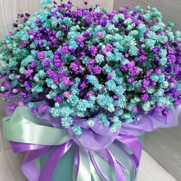 Яркий бокс с гипсофилами