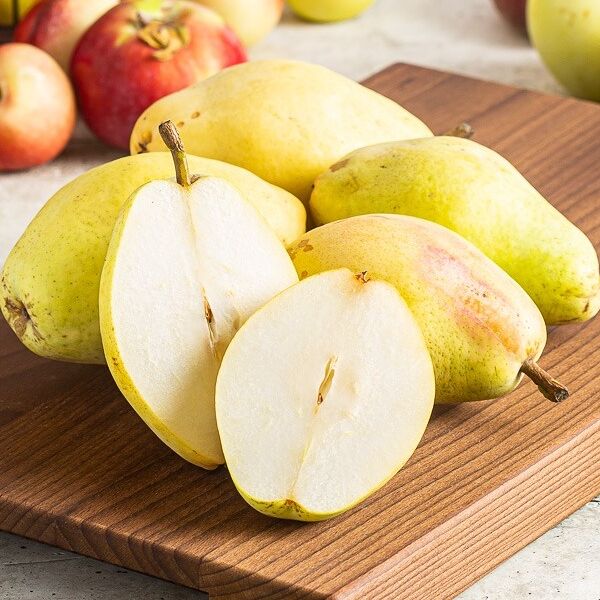 Груша Санта Мария