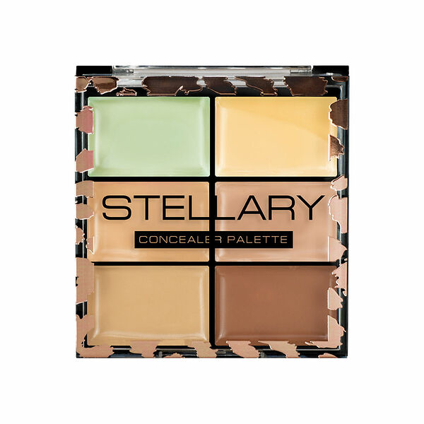 Набор консиллеров Stellary тон 01, 5 гр