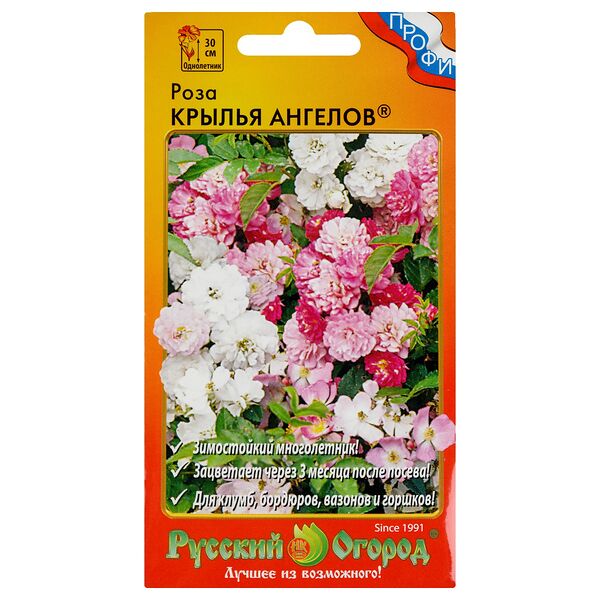Семена Роза Крылья Ангелов