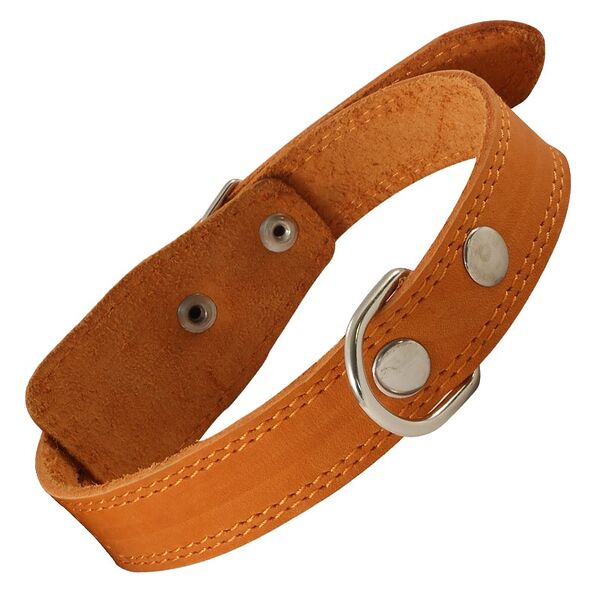 Гамма ошейник кожаный одинарный c кольцом 42 см