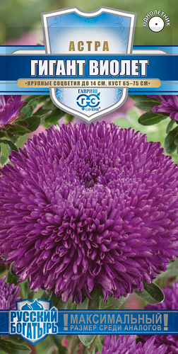 Семена ГАВРИШ Астра игольчато-коготковая Гигант виолет, Арт. 1999949494, 0,05г