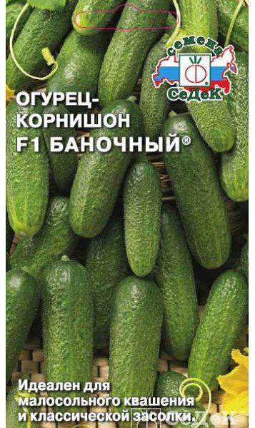 Семена Огурец Баночный F1 ТМ СеДеК