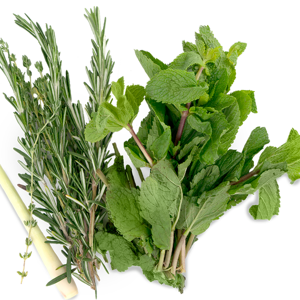 Набор свежих трав для мяса
