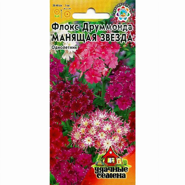 Семена Гавриш Флокс Манящая звезда 