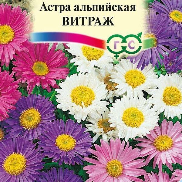 Семена Астра Альпийская витраж ТМ Гавриш