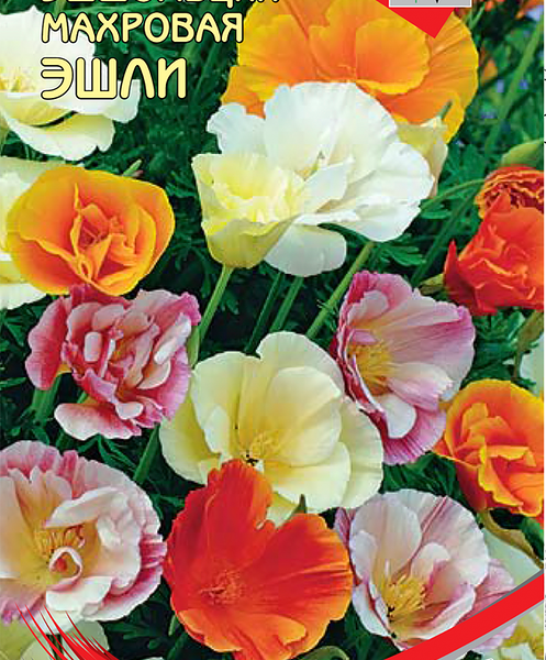 Семена Семена ДОМ СЕМЯН Эшшольция Эшли, 60шт