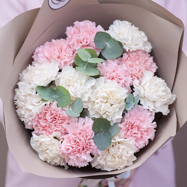 Букет из 15 розовых и кремовых гвоздик с эвкалиптом в розовой пленке