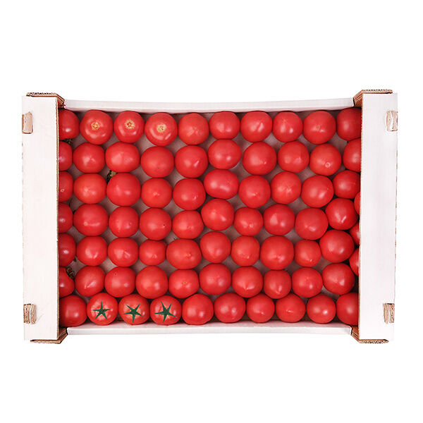 Помидор дагестанский ОПТ