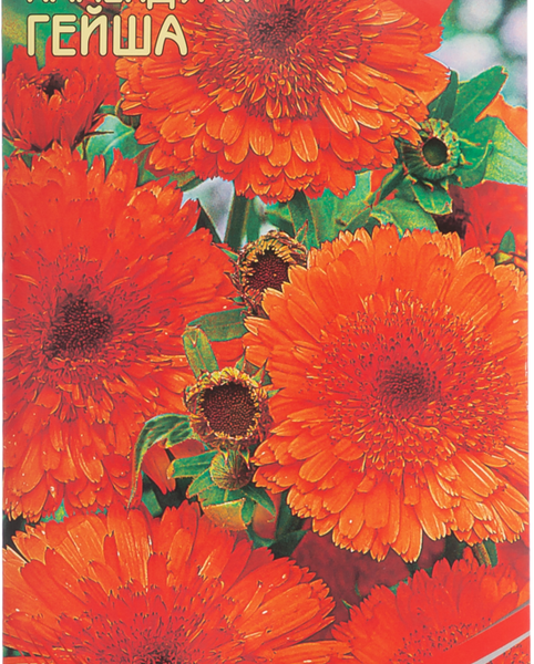 Семена CHRESTENSEN Календула Гейша