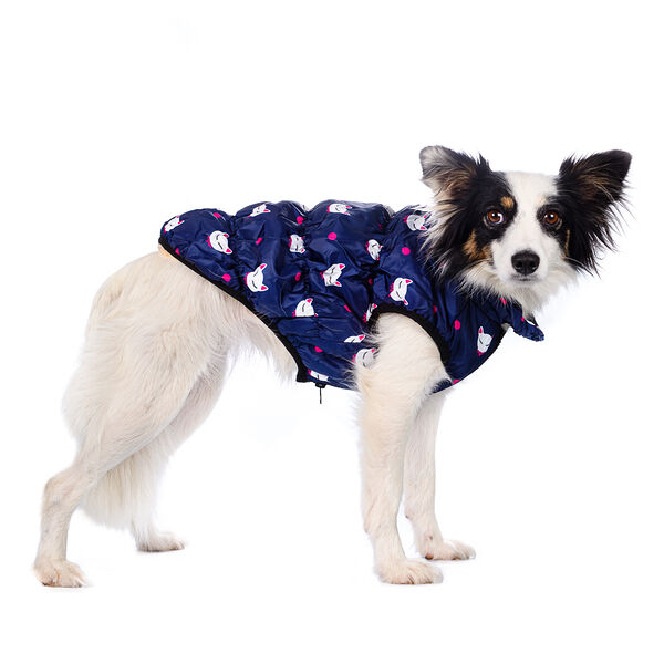 Костюм для собак XS синий (унисекс)