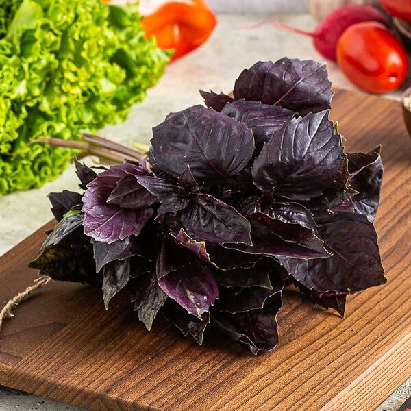 Базилик красный