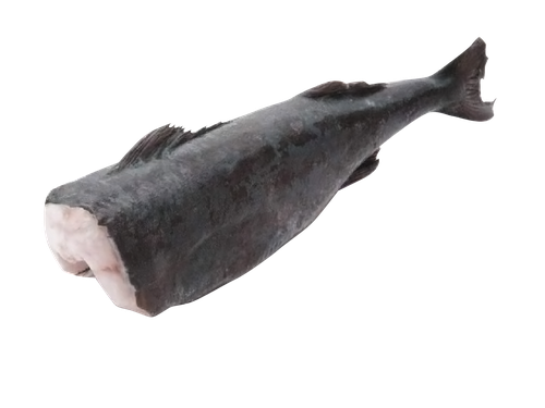 

Зубатка синяя потрошеная без головы, весовая