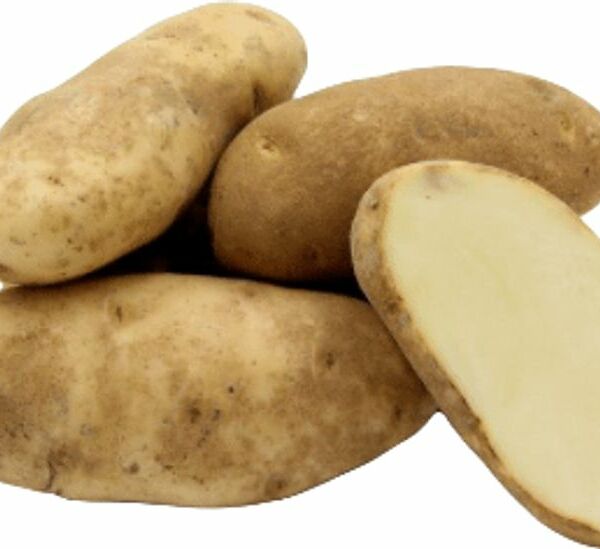 Картофель ранний