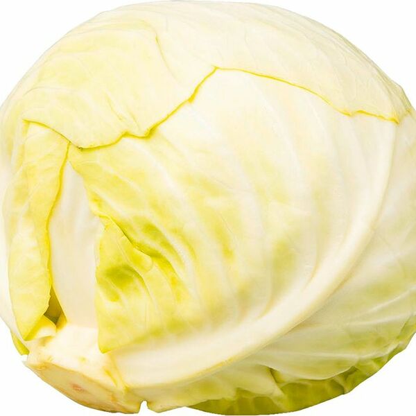 Капуста белокочанная Россия вес