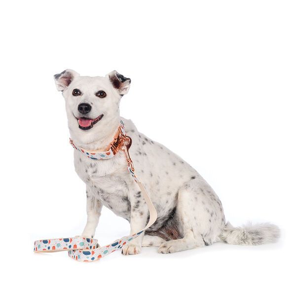 Поводок белый с пятнами 2,5см 122см